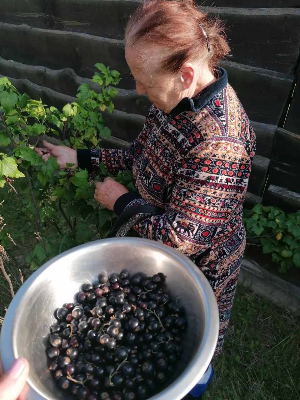 Сезонний урожай
